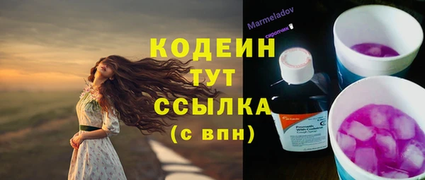 соль курить ск Дмитровск