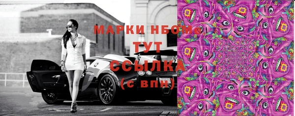 PSILOCYBIN Дмитриев