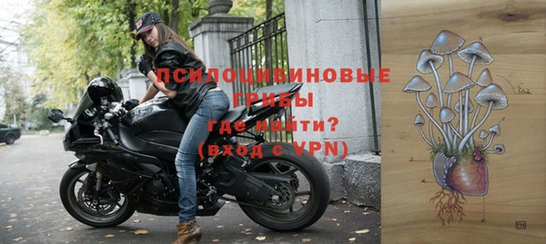 синтетический гашиш Ельня