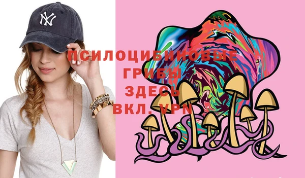 PSILOCYBIN Елабуга