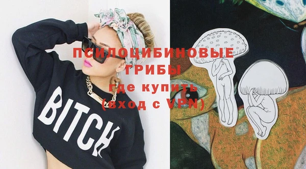 PSILOCYBIN Дмитриев