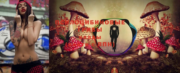 соль курить ск Дмитровск