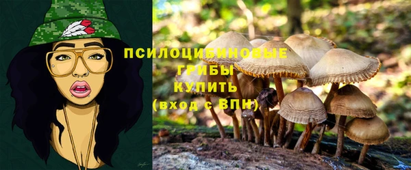 соль курить ск Дмитровск