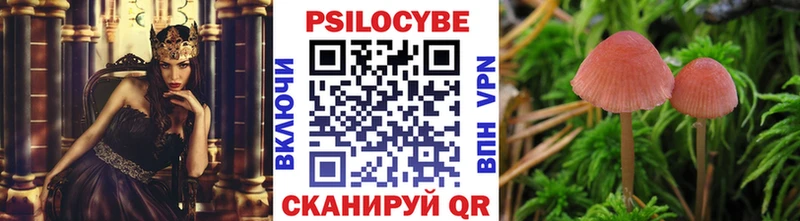 Псилоцибиновые грибы Psilocybe  Купить закладки  Благовещенск 